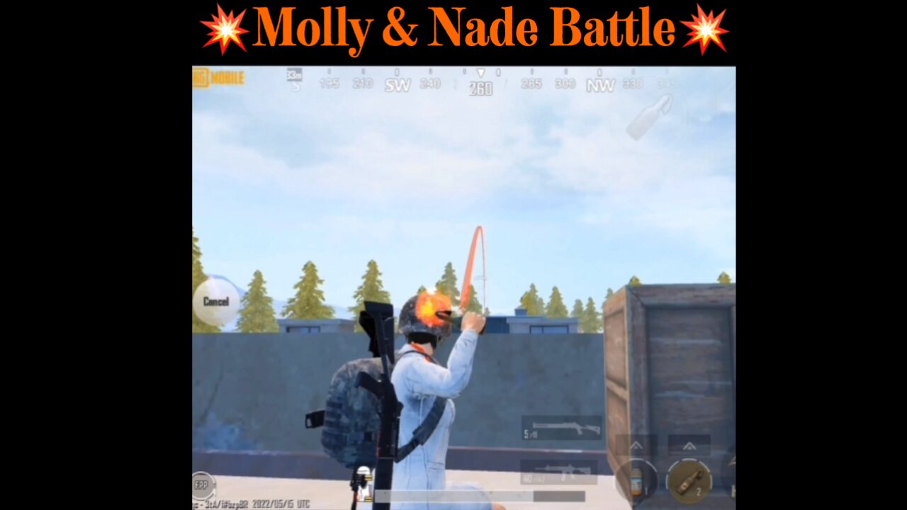 🔥Molly & Grenade Battle!🔥