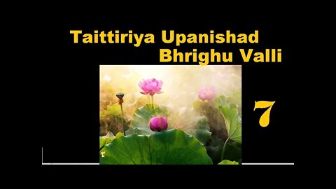 Taittiriya Upanishad Brighu Valli 07