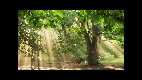 Relaxing music