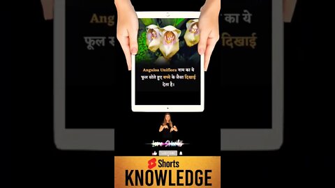 Motivational Quotes Intresting Facts & research #shorts #ytshorts #knowledge #motivation #yogi