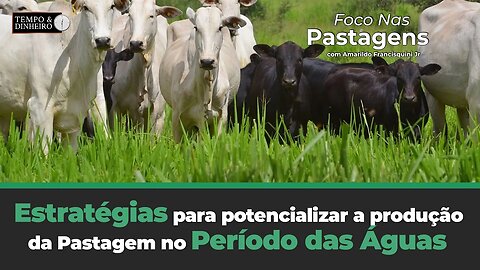 Estratégias que potencializam a produção da Pastagem no Período das Águas .Foco nas Pastagens!