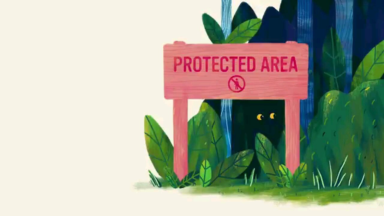 wild life improvements 2024
