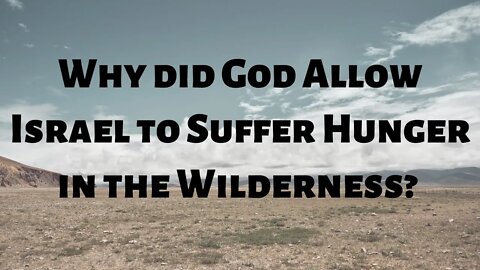 Why did God allow Israel to suffer hunger in the wilderness?