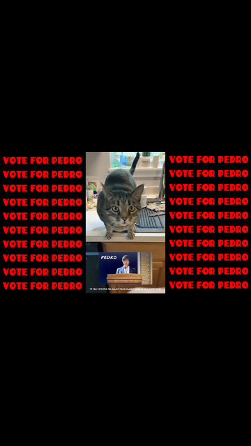 Zeus Votes For Pedro