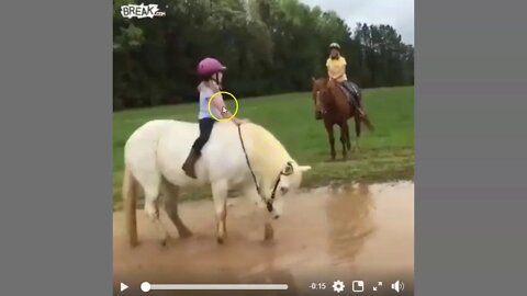 Understanding When Horses Are Going To Roll In Water - It Can Keep You Dry