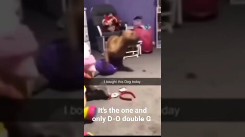 MEME is the one and only D-O double G #shorts