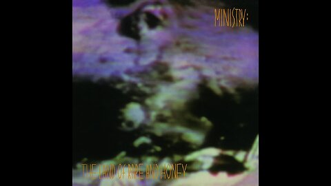 Ministry - The Land Of Rape And Honey