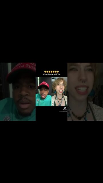 I can’t stop laughing.Meeeeoooowwww 😂😂😂😂