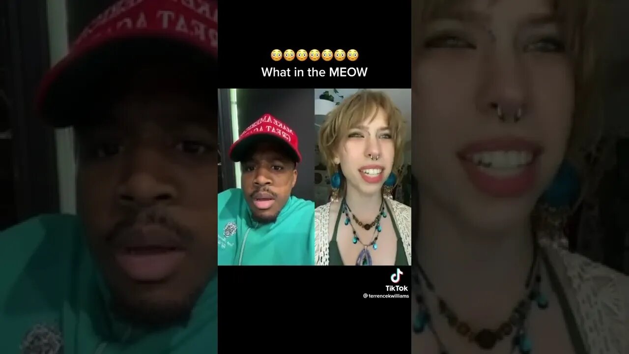 I can’t stop laughing.Meeeeoooowwww 😂😂😂😂