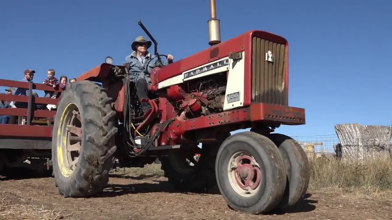 Agrotourism helps Twin Oaks Farm generate income and help families make memories