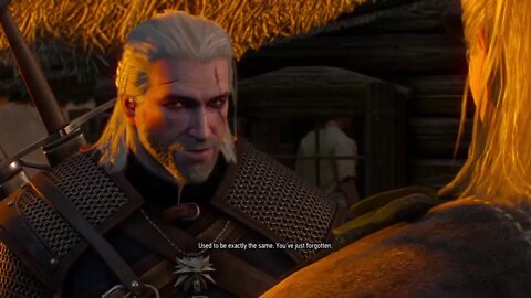 The Witcher 3 Wild Hunt Reboot Part 4-The Pan Mission