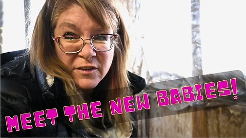 New Live On The Farm!