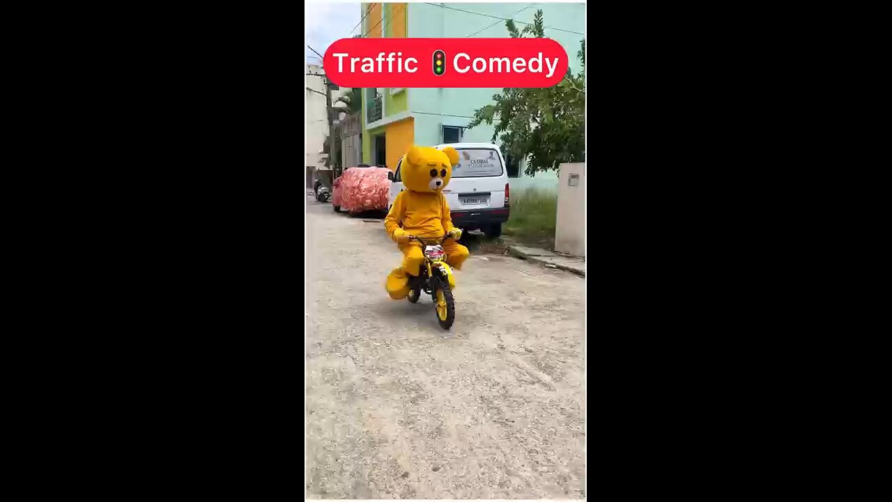 trafic comedy #teddy #teddybear #crazyteddy