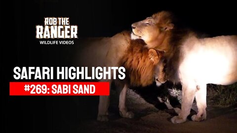 Safari Highlights #269: 01 - 03 May 2014 | Sabi Sand Nature Reserve | Latest Wildlife Sightings