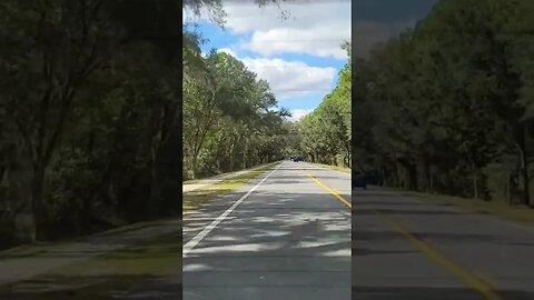 Florida Country Road