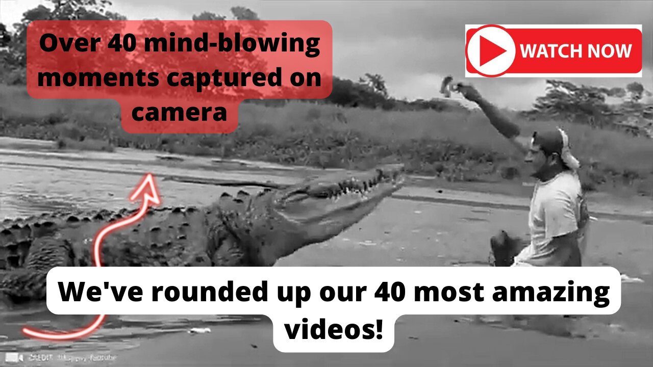 40+ mind-blowing moments captured on camera that will leave your jaw dropping