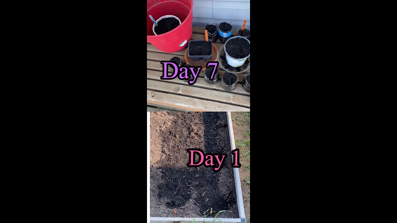 Plant growth daily update