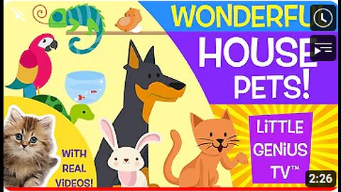 House Pets! | videos for babies, toddlers, kids | Little Genius TV