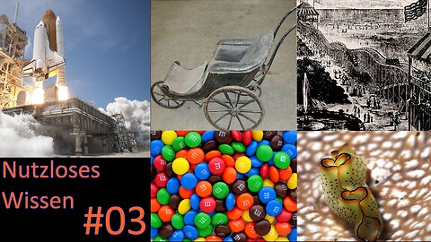 Nutzloses Wissen für Zwischendurch - 03 - Querbeet