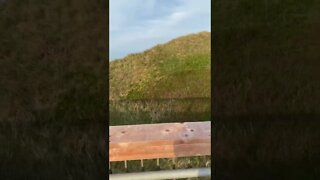 Walking by a large sand dune on PEI