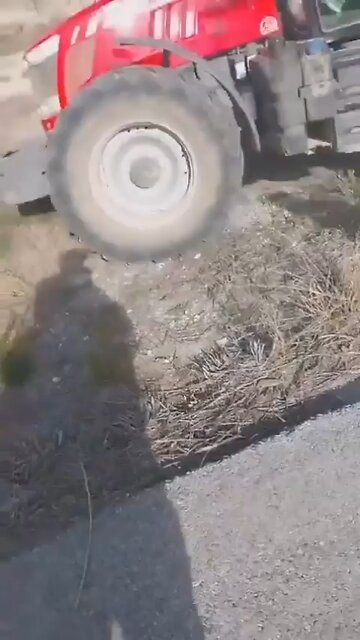 Spanish farmers pick their side