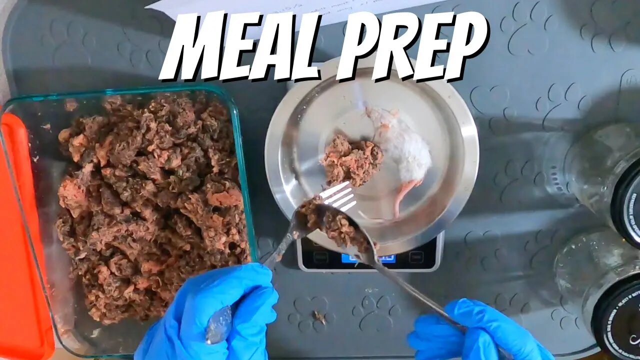 How I meal prep Jericho's raw and whole prey diet