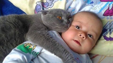 Baby and Cat funny