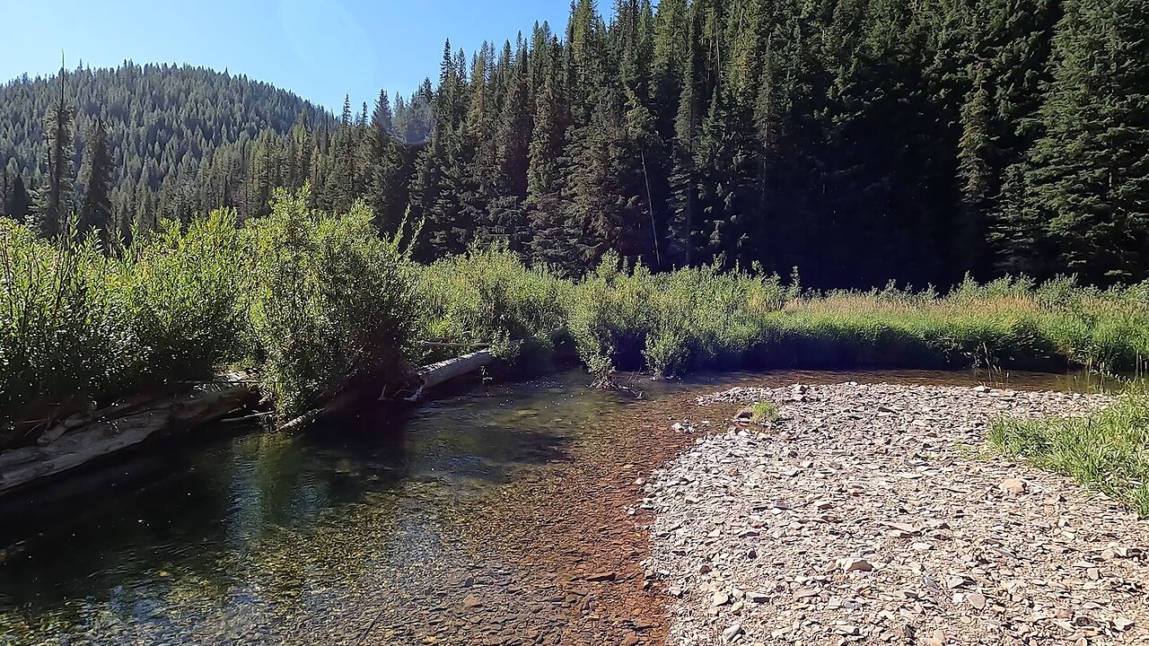 An exceptional trout stream!