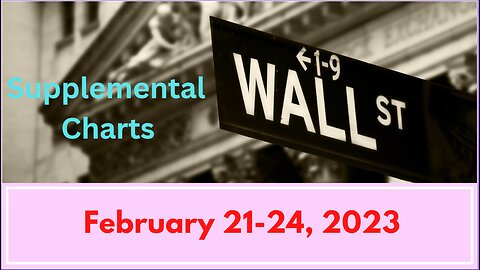 Supplemental Charts Video Update For February 21 2023