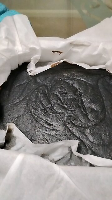 Sneak Peek American Black Soap *Plantain