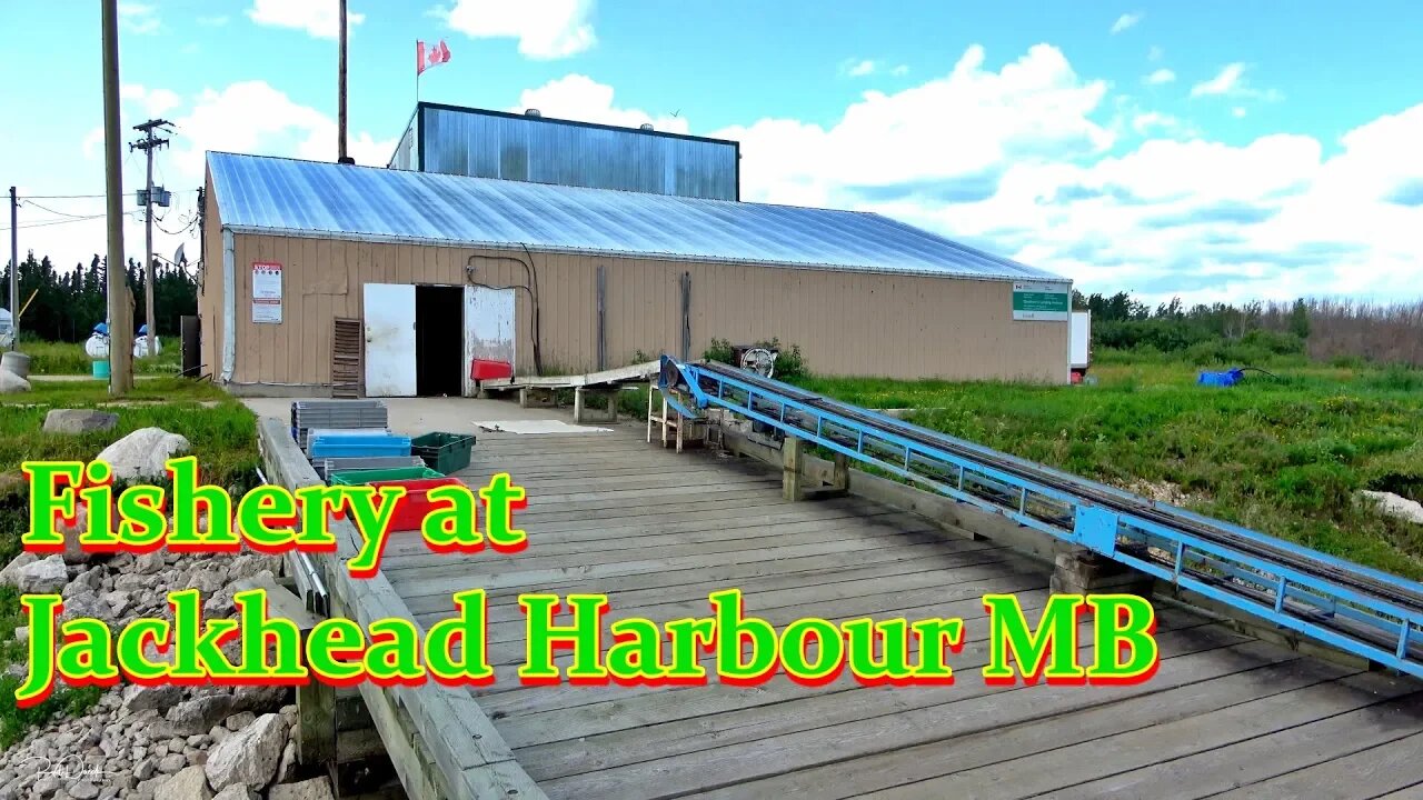 Fishery at Jackhead Harbour MB The Outdoor Adventures Vlog#1855