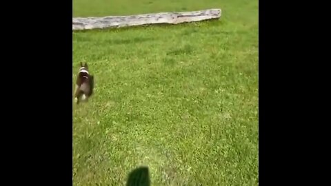 #SHORT #SUBSCRIBE #PLEASE