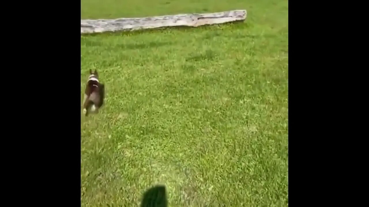 #SHORT #SUBSCRIBE #PLEASE