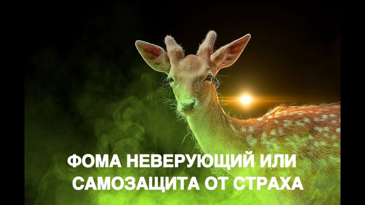 ФОМА НЕВЕРУЮЩИЙ ИЛИ САМОЗАЩИТА ОТ СТРАХА Инга Хосроева