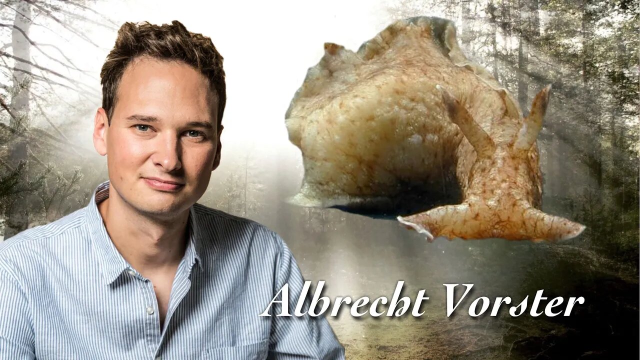 Schlafende Schnecken - Albrecht Vorster