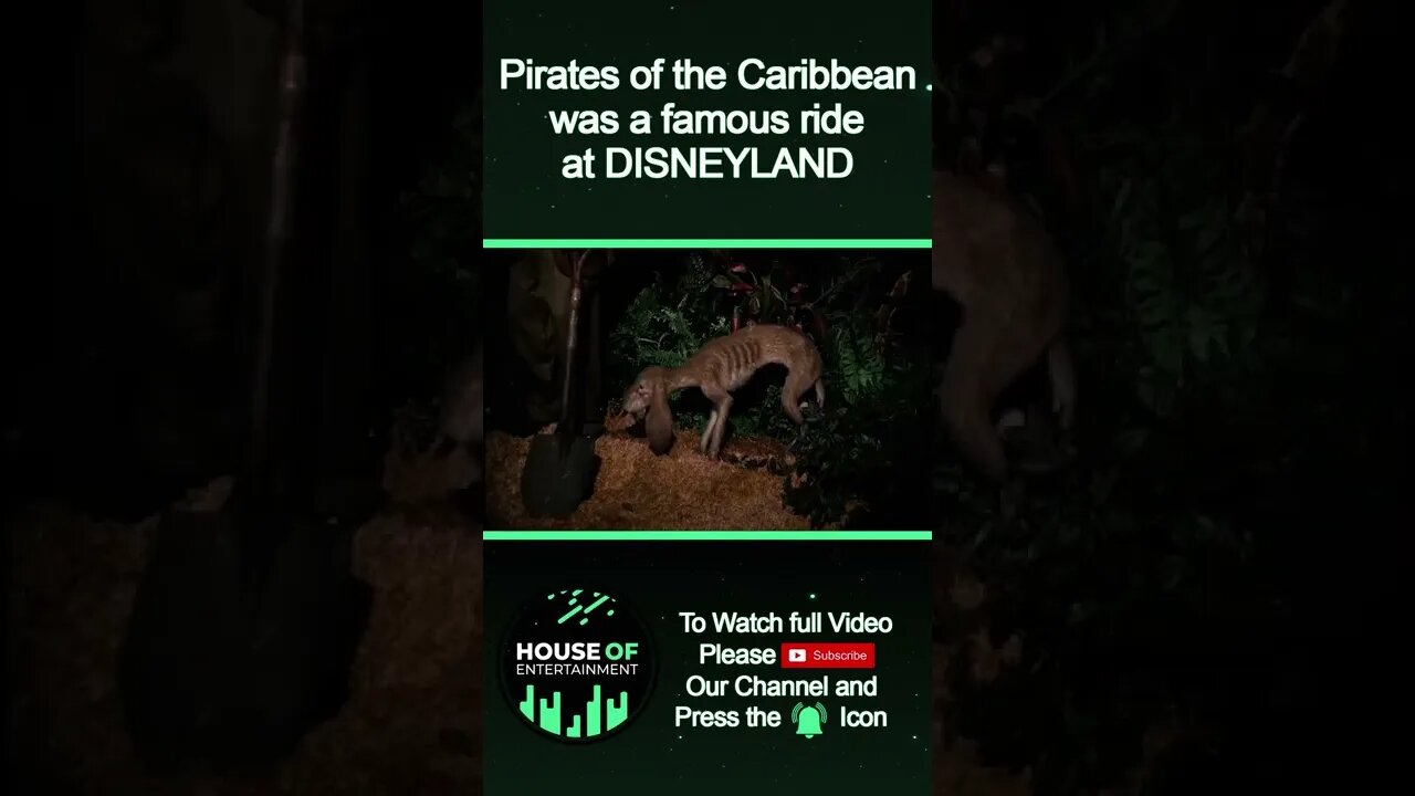 There is a Ride Named "Pirates Of the Caribbean" at DISNEYLAND #Shorts