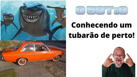 Conhecendo um tubarao de perto!!!! #chevette #tubarao