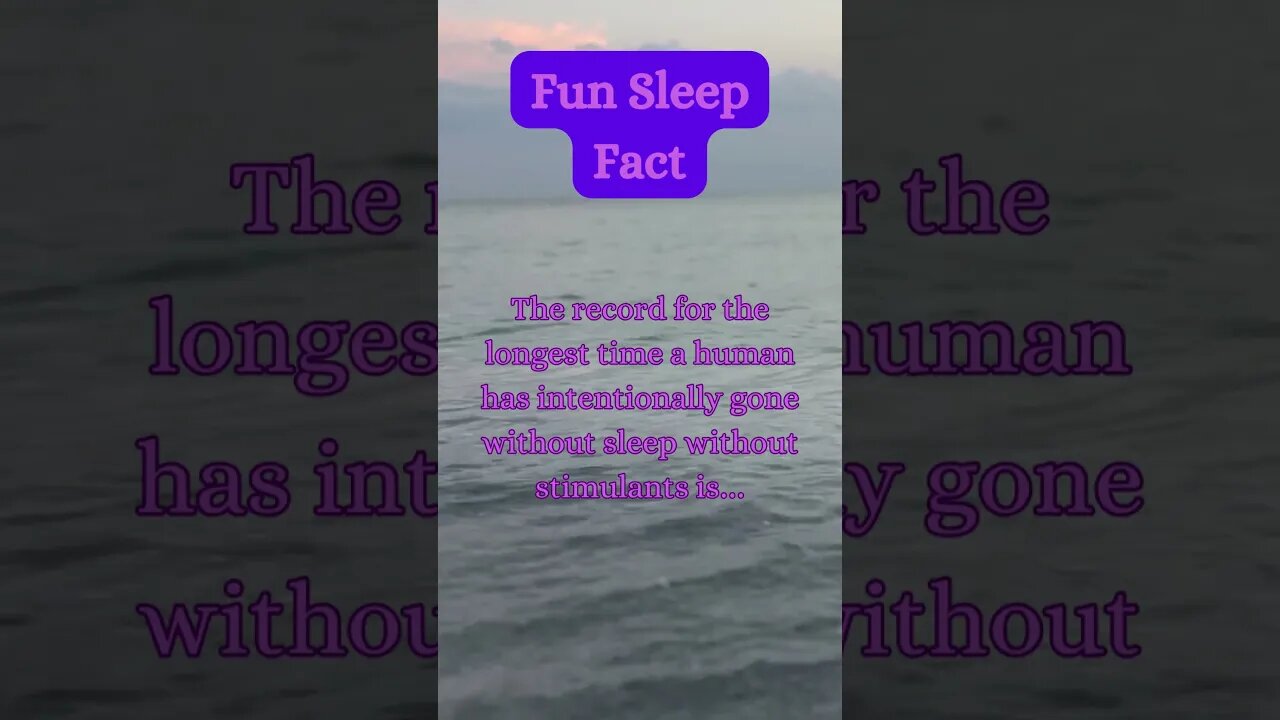 Beach Sleep Secret? 😴🏖️ | Surprising Fact Revealed! @AmbientNoiseCo. #beachvibes #facts #ocean