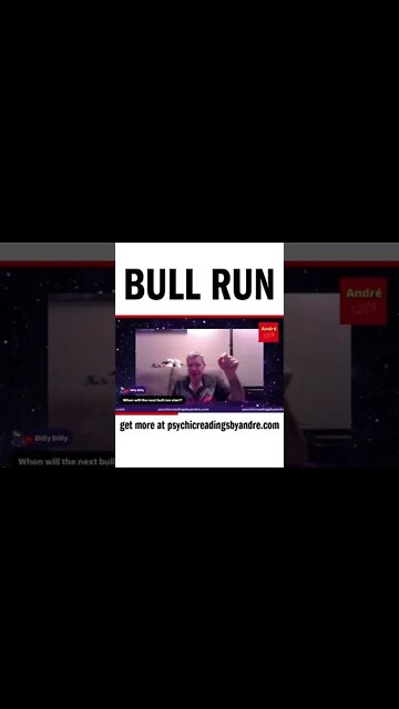 Bull run