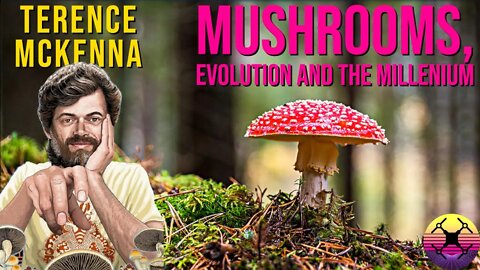 Mushrooms, Evolution and the Millenium - Terence McKenna | Full 1991 Lecture