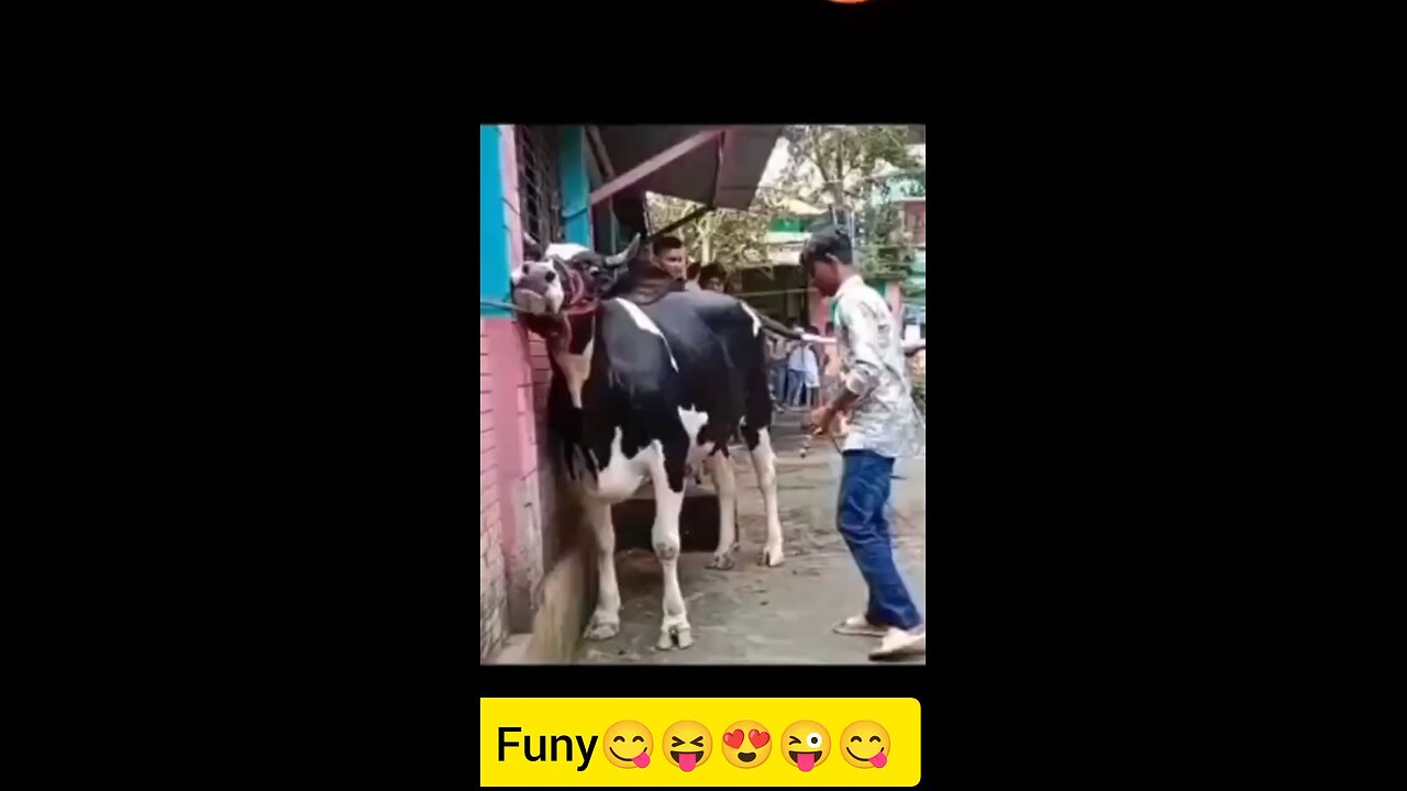 Funy