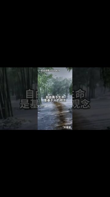 一句话开悟20220420