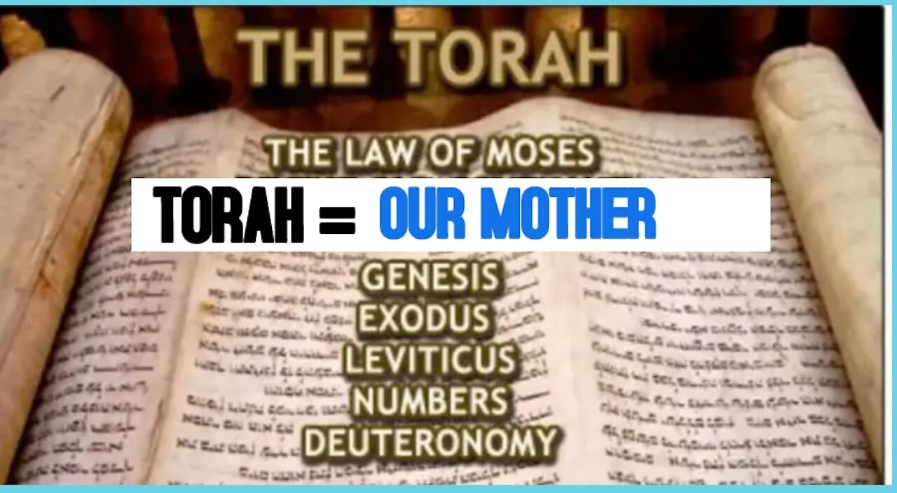 THE TORAH IS OUR MOTHER = The Law of YHVH = THE LAW OF THE MOST HIGH GOD AND GLORY IS OUR MOTHER