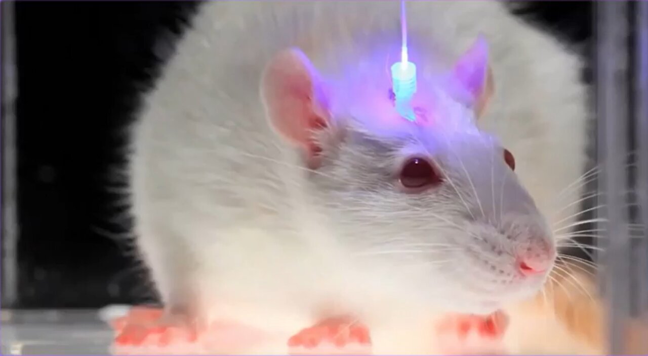 Optogenetics and the Secret Worldwide Nanotech Experiment - REESE REPORT