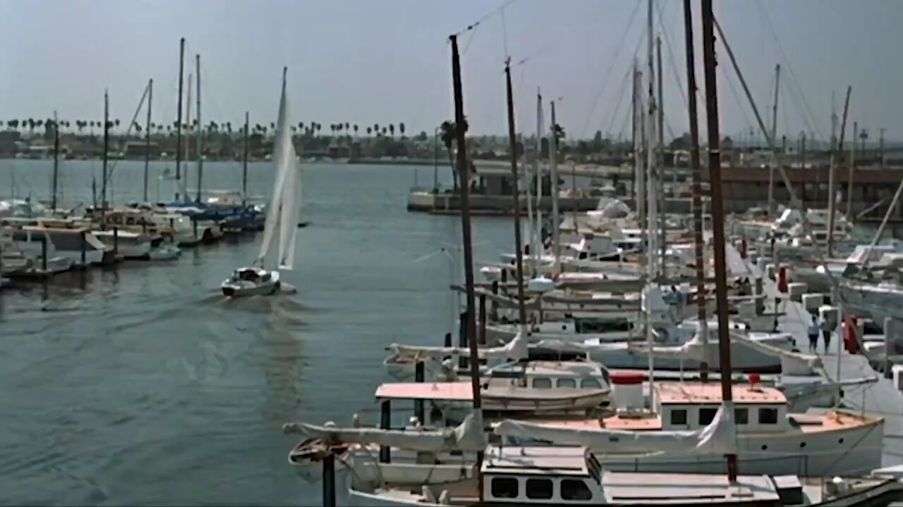 SS DEMOCRATS Gigglin's Island