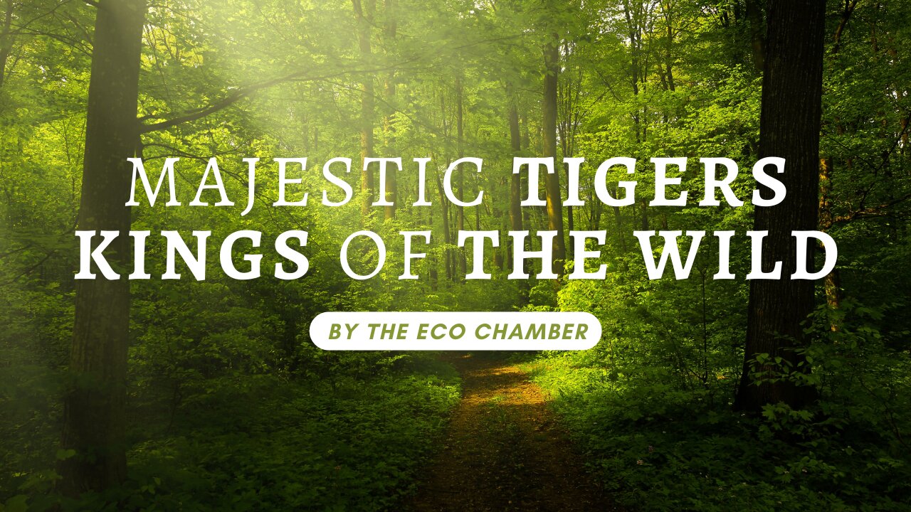 Majestic Tigers: Kings of the Wild