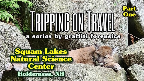 Tripping on Travel: Squam Lakes Natural Science Center, New Hampshire