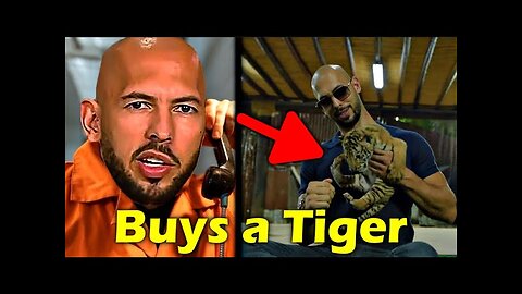 Andrew Tate Tries To Buy a TIGER [FULL FOOTAGE]