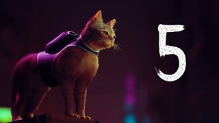 Stray - Part 5 (Finale)