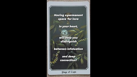 MEDITATION #love #infatuation #passion #deepconnection #tarot #tarotary #dailycard